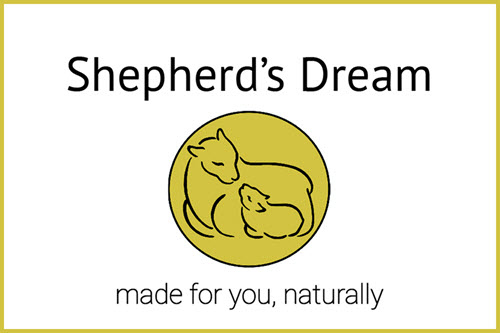 s Dream Logo